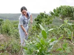 Người đàn bà Nùng vượt khó trên đất Tây Nguyên